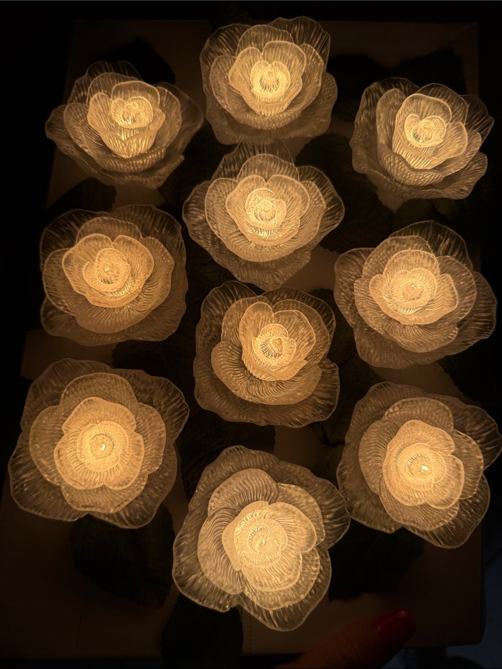 New Set of 10 Floral Electric Acrylic Lights with clips.